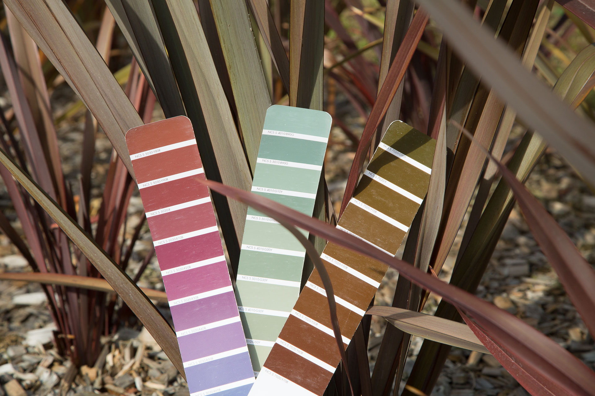 Couleur & Paysage Nacarat Color Design